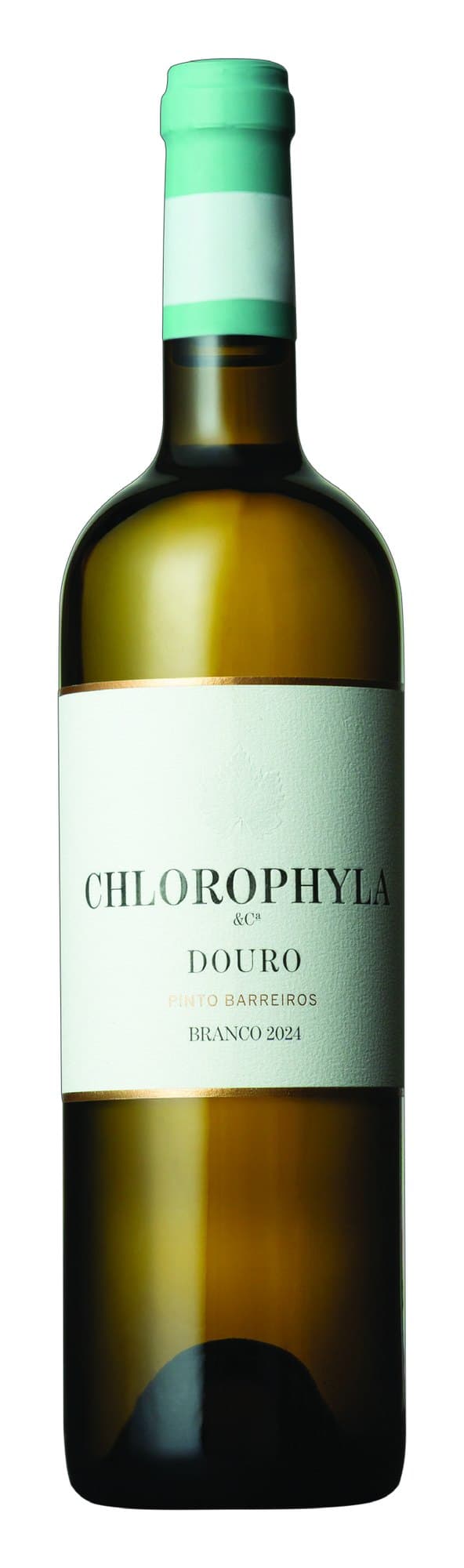 Chlorophyla White
